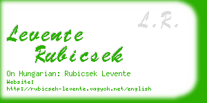 levente rubicsek business card